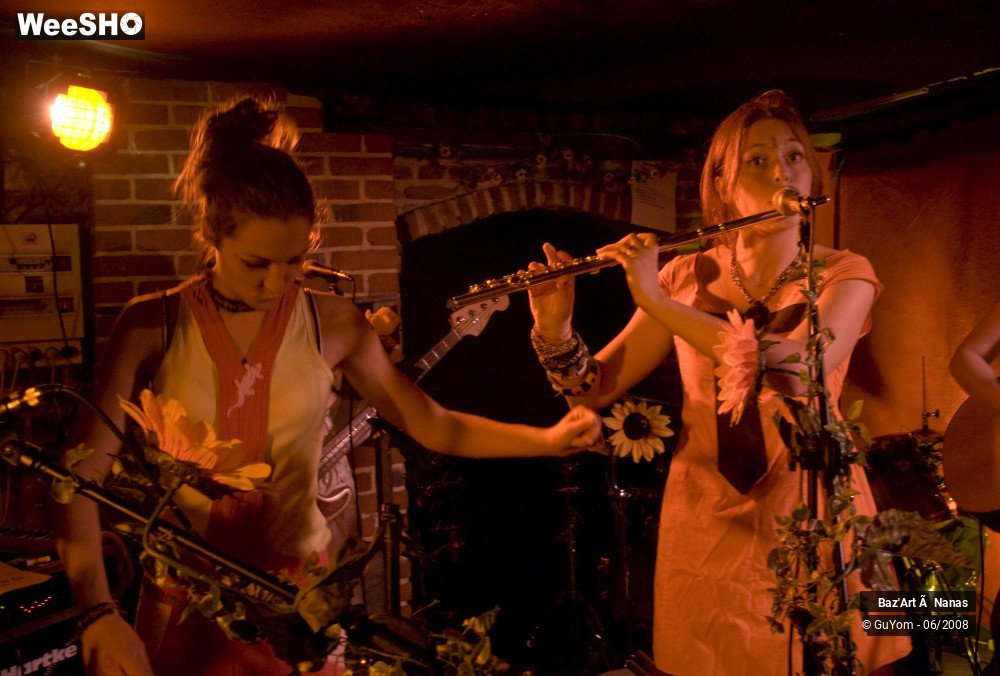 24/35 photos du spectacle Baz'Art à Nanas